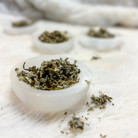 Dried Herbs | White Sage