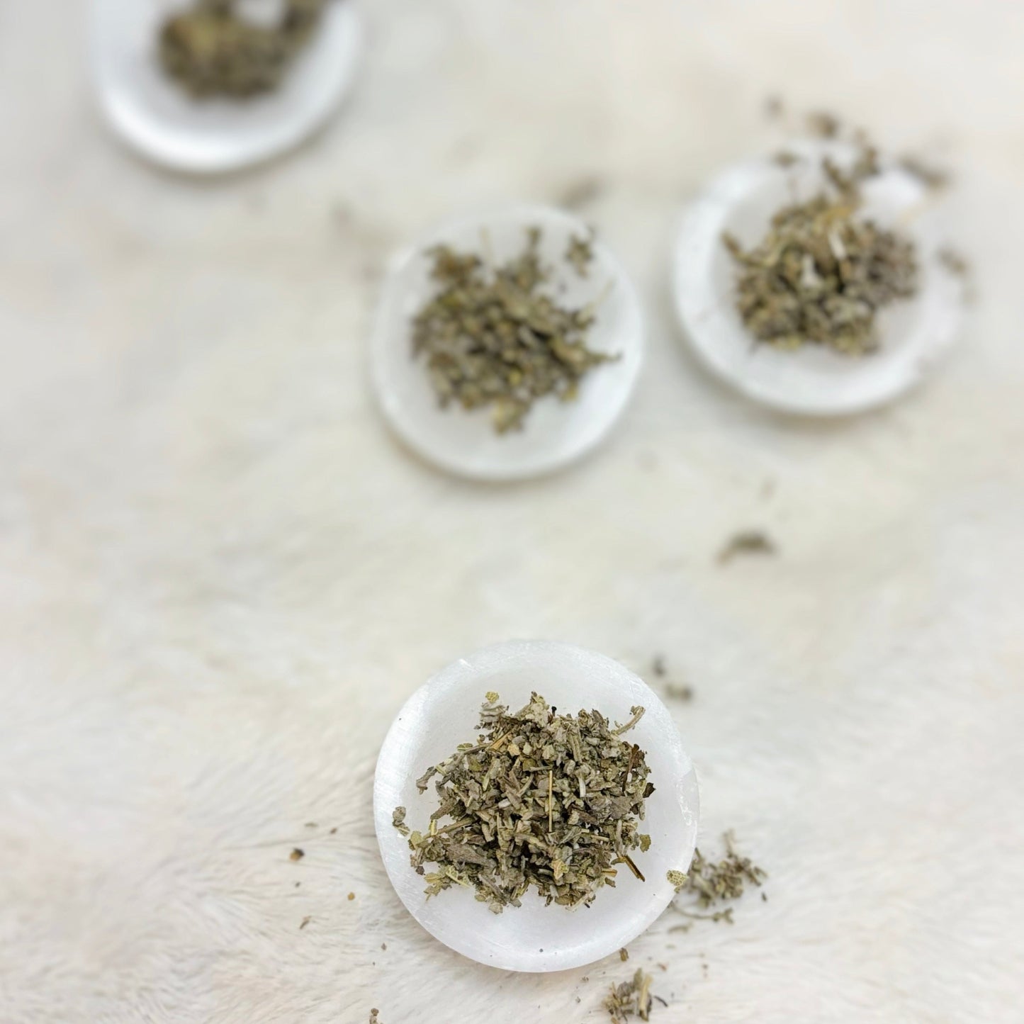 Dried Herbs | White Sage