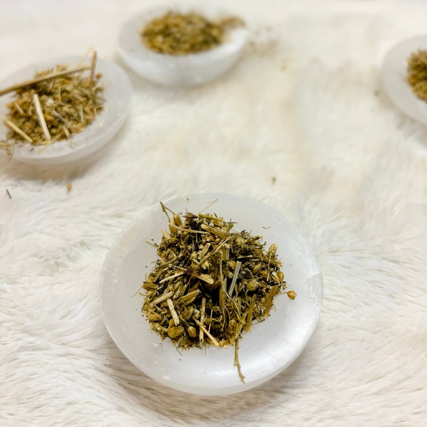 Dried Herbs | Yarrow