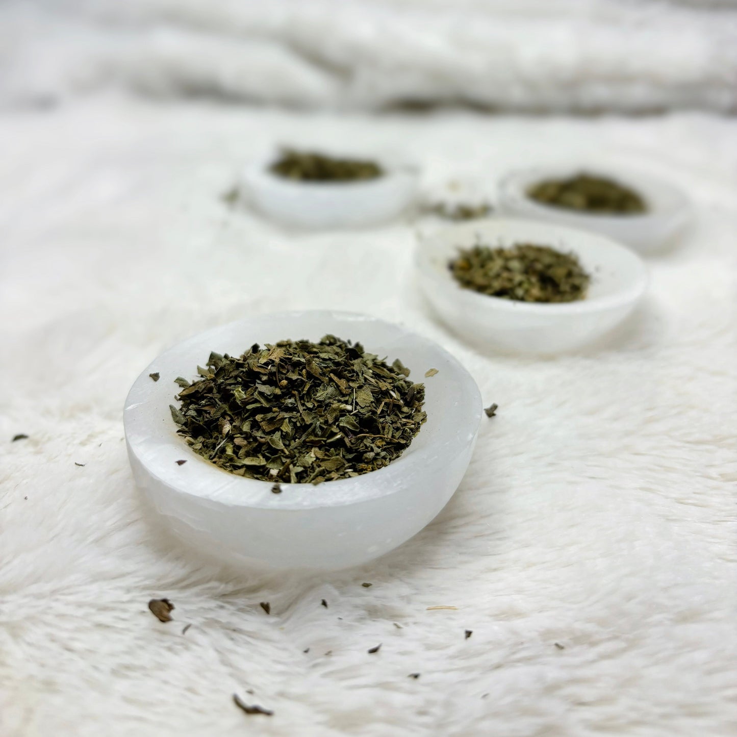 Dried Herbs | Basil