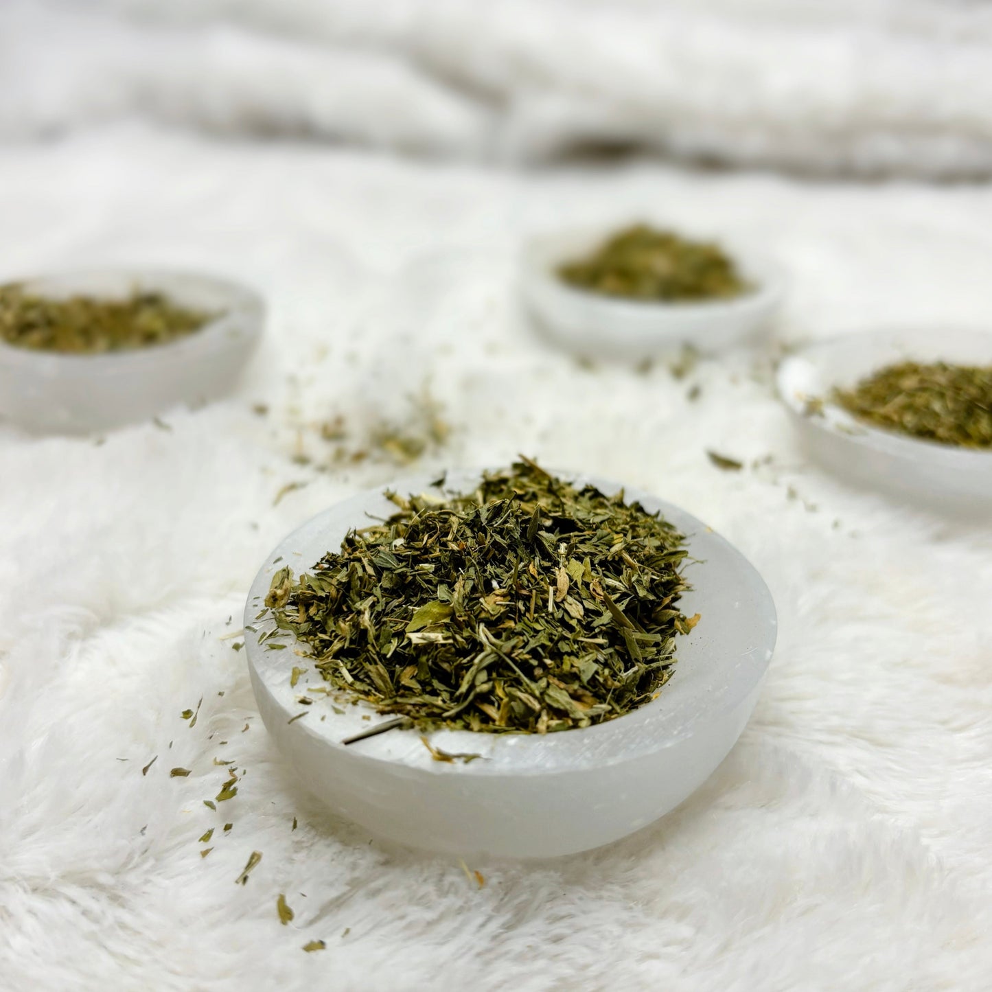 Dried Herbs | Alfalfa