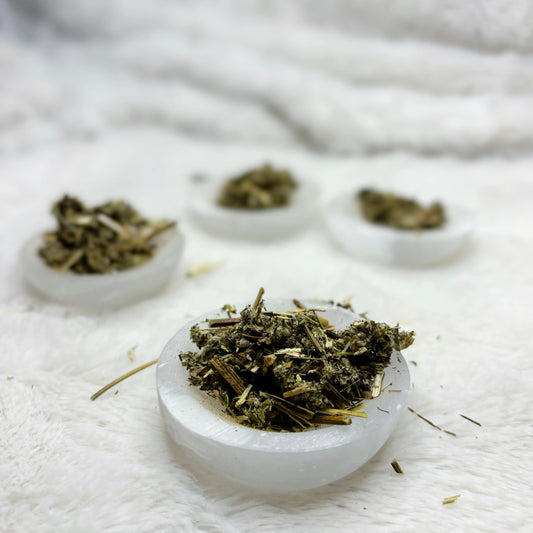 Dried Herbs | Mugwort