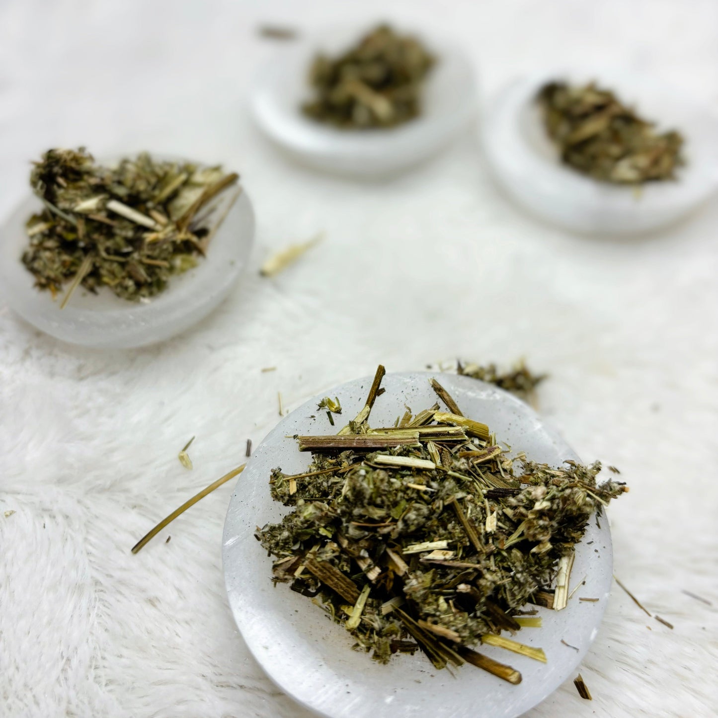 Dried Herbs | Mugwort