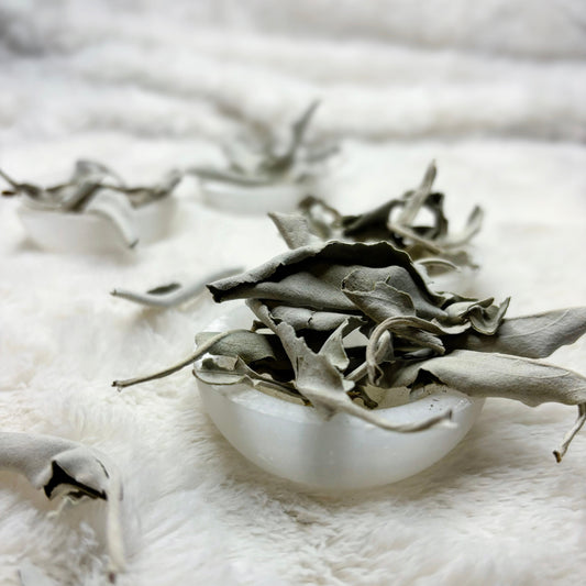 Dried Herbs | White Sage Leaf