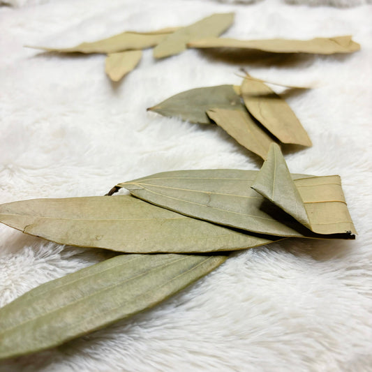 Dried Herbs | Bay Leaf