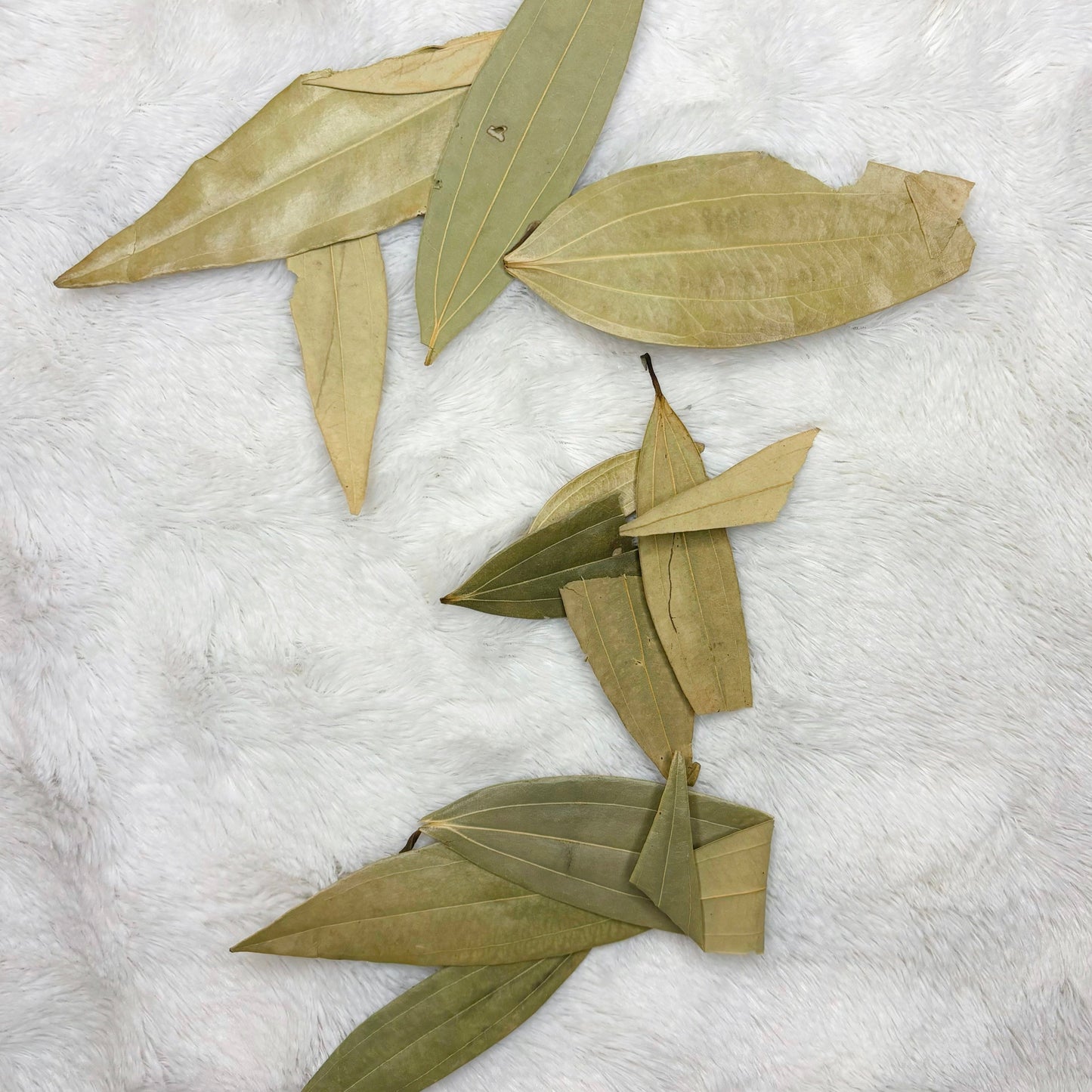 Dried Herbs | Bay Leaf