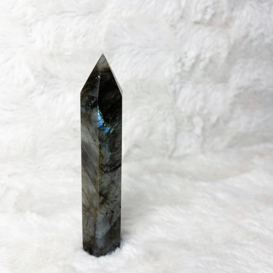 Generator | Labradorite