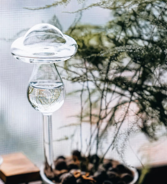 Glass Mushroom Watering Globes