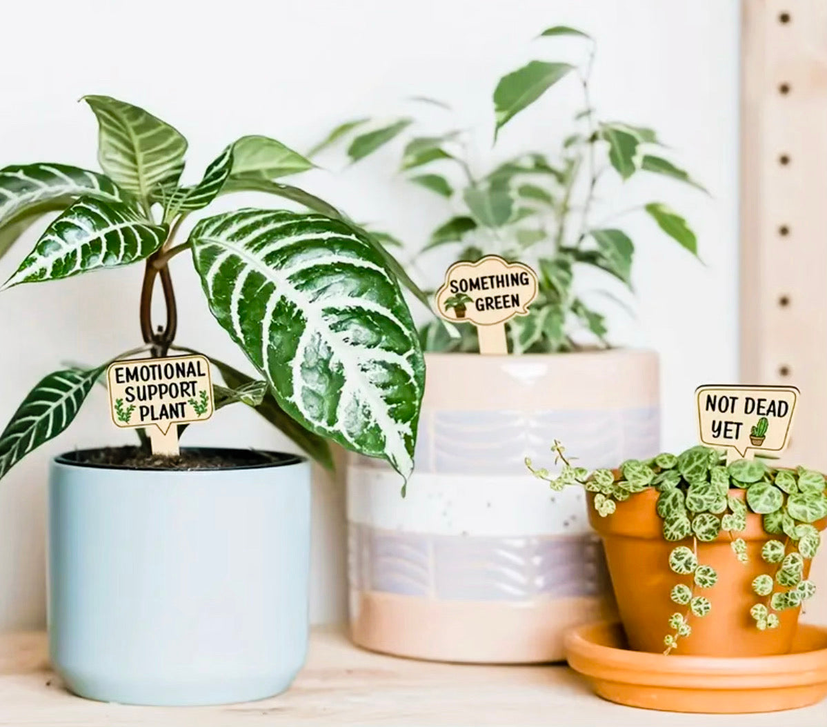 Funny Plant and Herb Labels (15 Pieces)