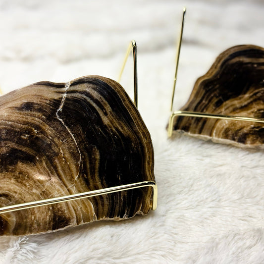 Chocolate Calcite Slice