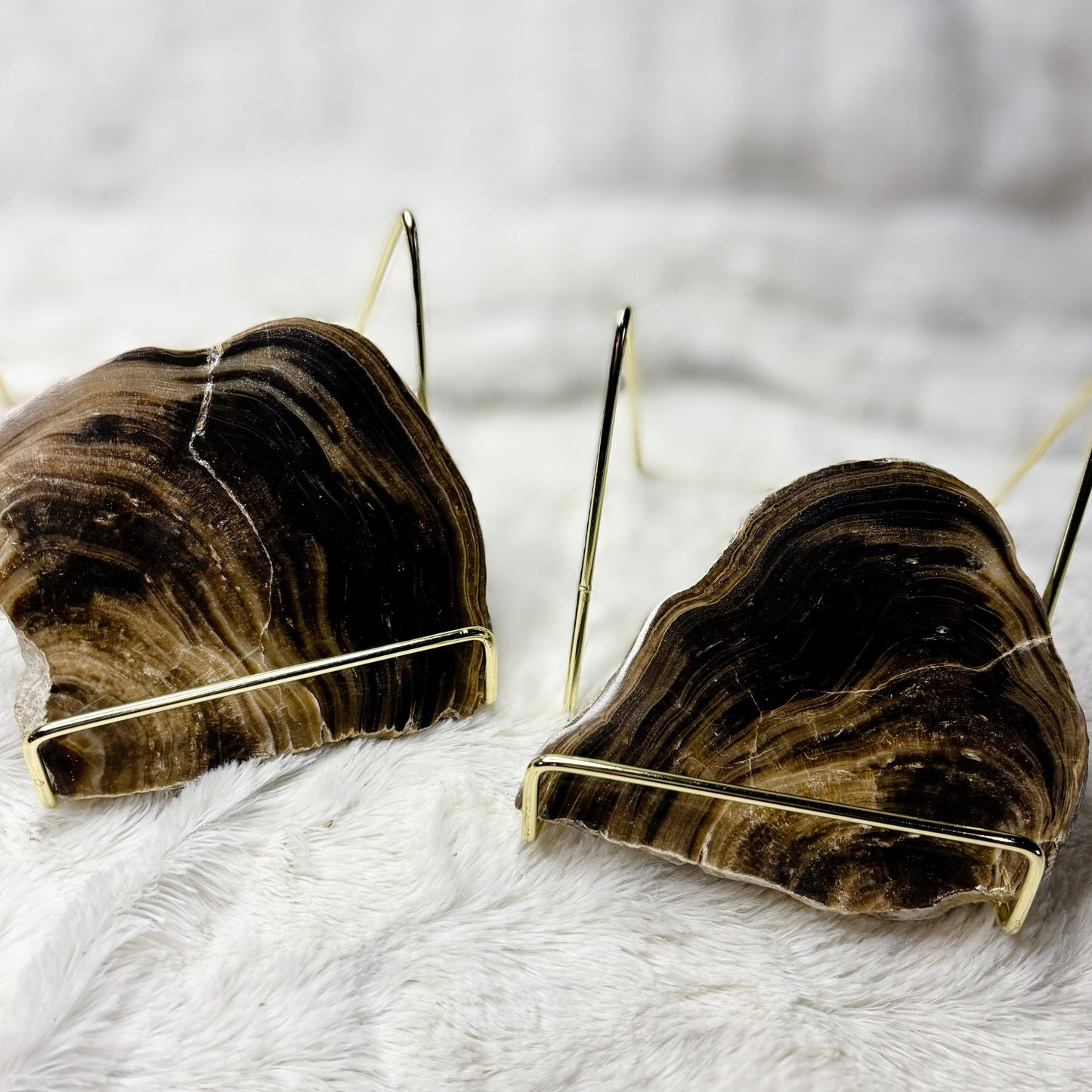 Chocolate Calcite Slice