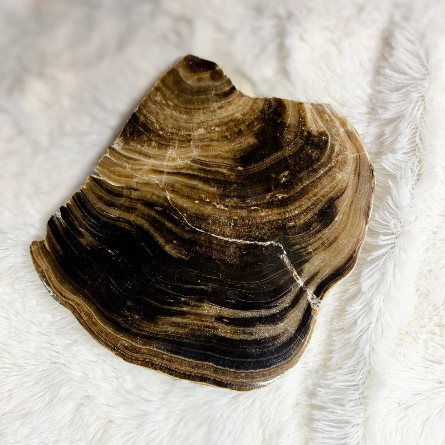 Chocolate Calcite Slice