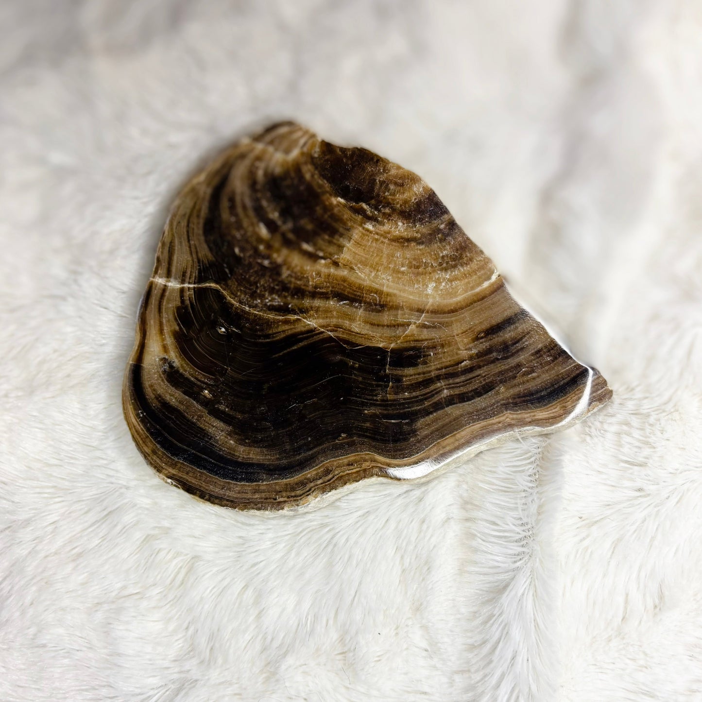 Chocolate Calcite Slice