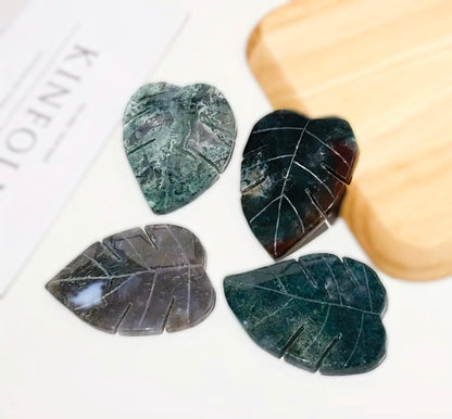 Monstera Leaf-Shaped Stones