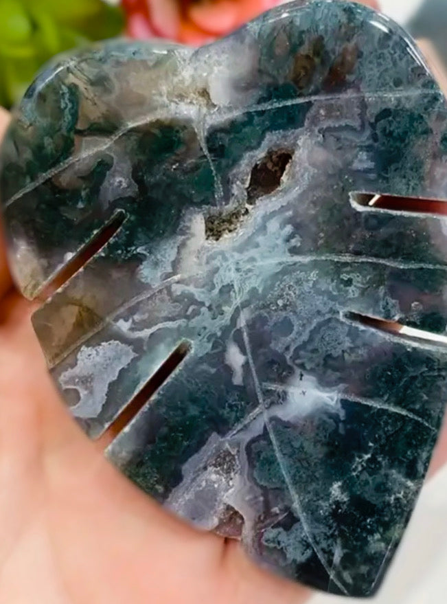 Monstera Leaf-Shaped Stones