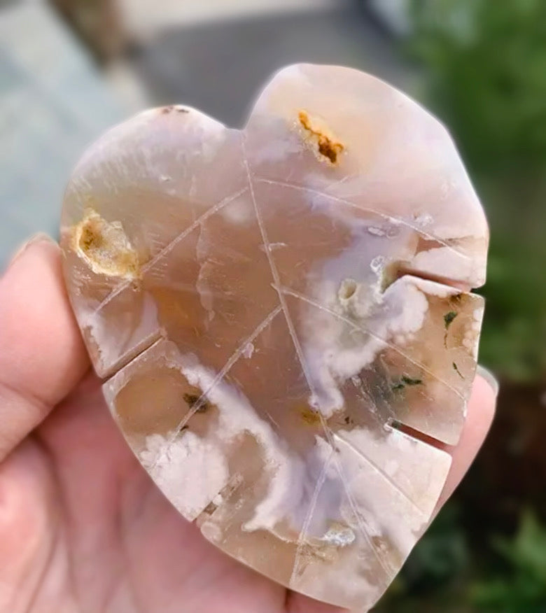 Monstera Leaf-Shaped Stones