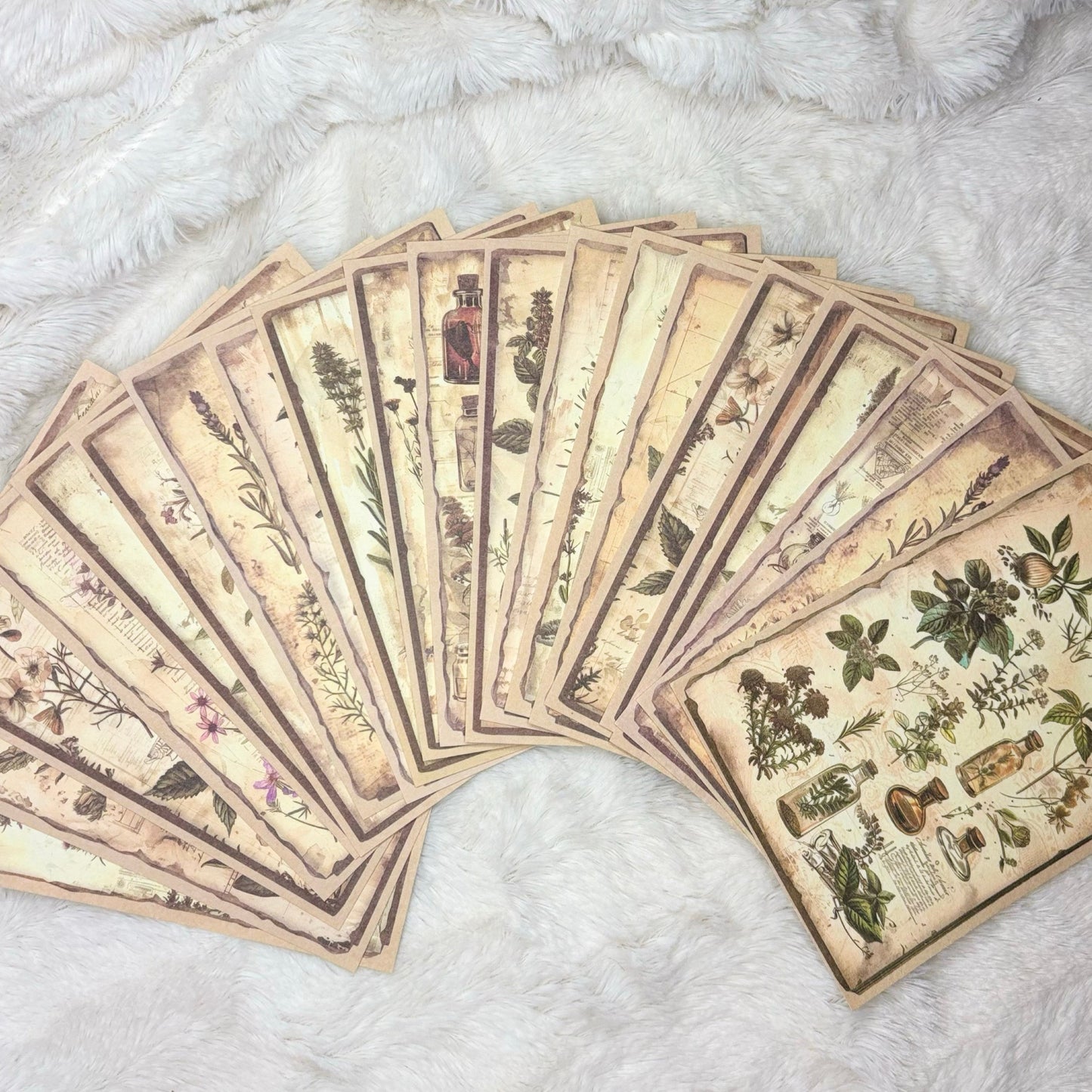 Herb Information Cards