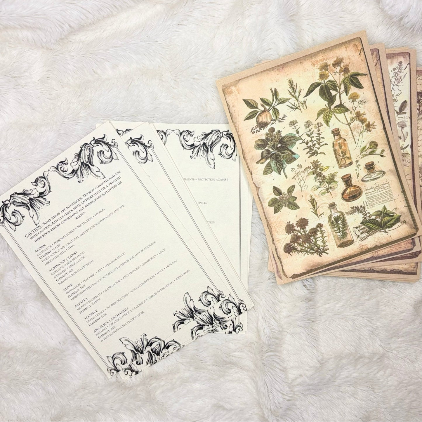 Herb Information Cards