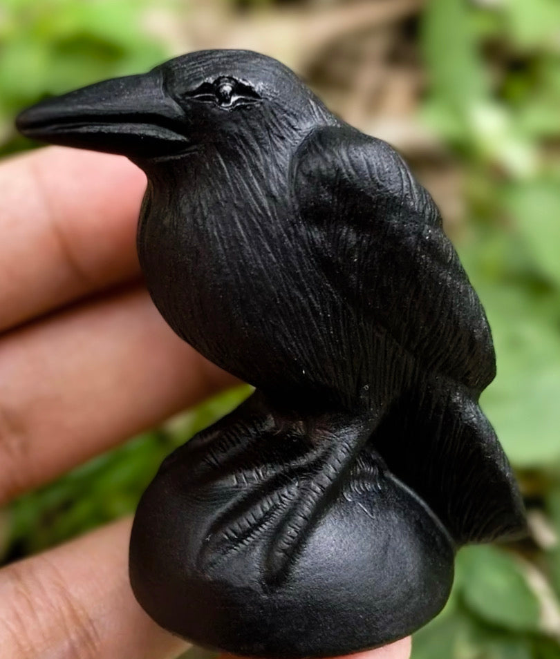 Natural Obsidian Stone Raven