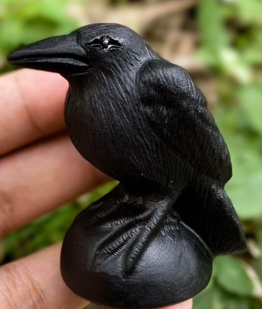 Natural Obsidian Stone Raven