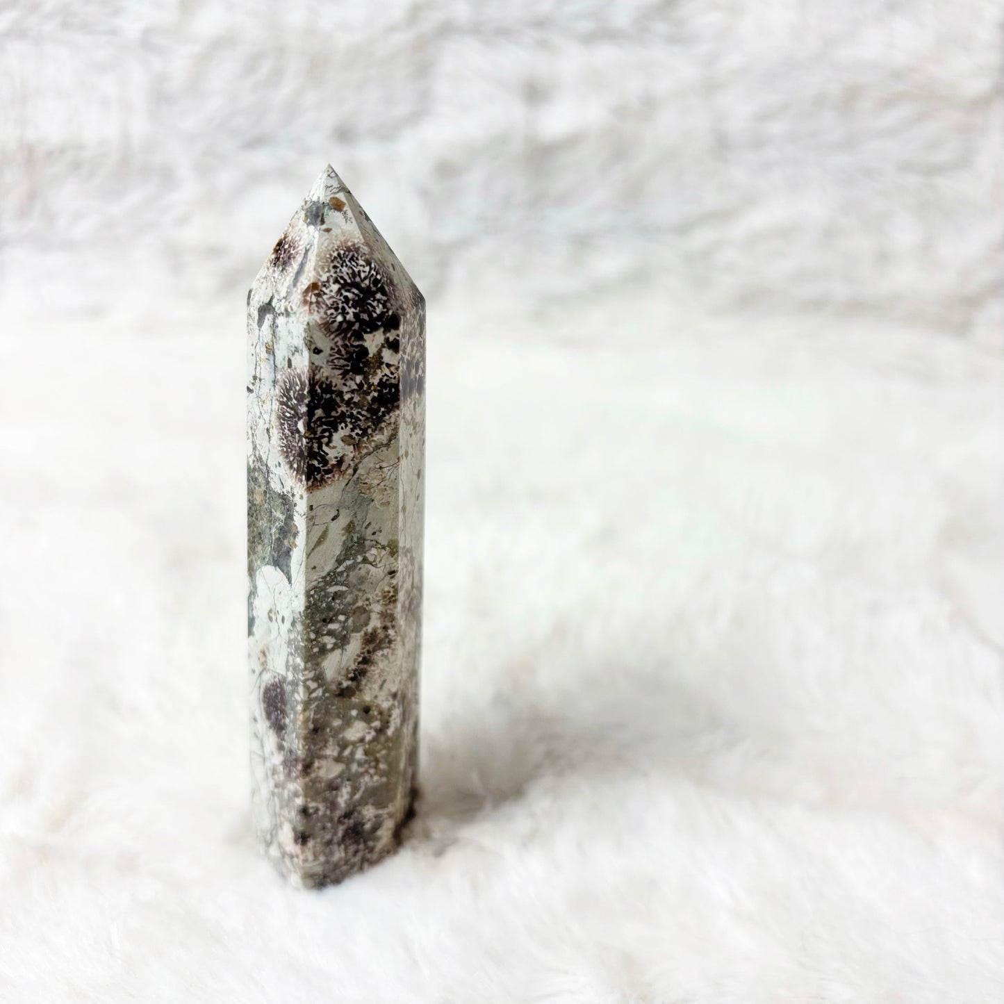 Generator | Sakura Jasper