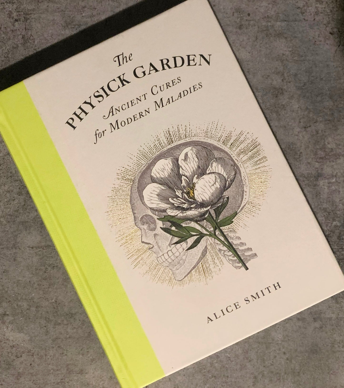 The Physick Garden: curas antiguas para enfermedades modernas