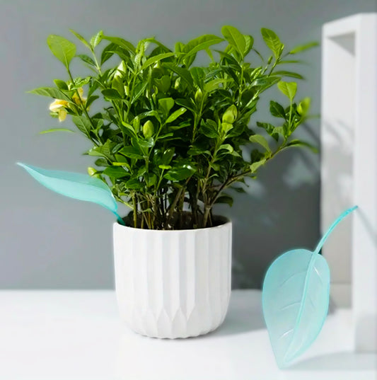 Leaf-Shaped Plant Watering Funnels