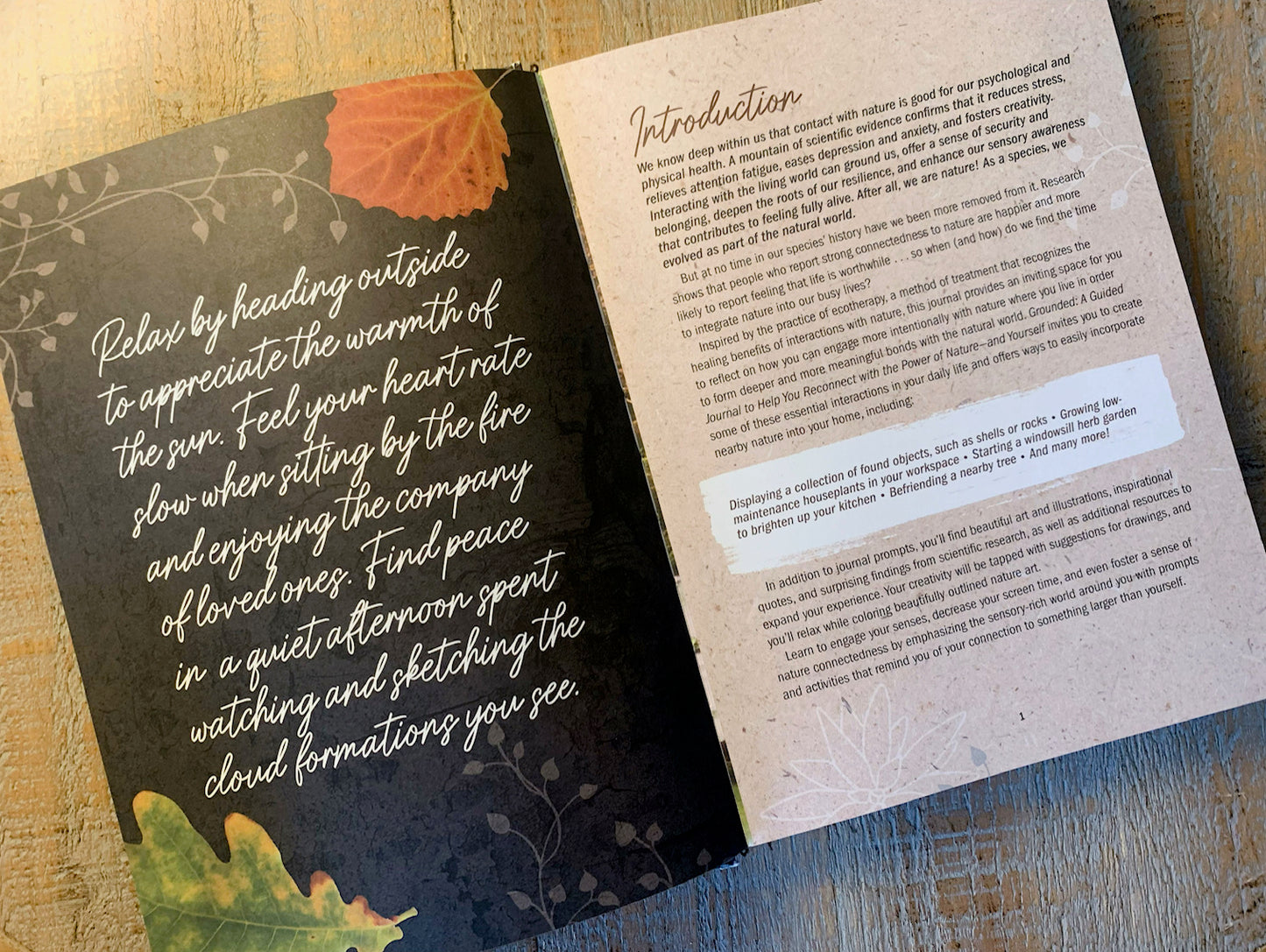 Grounded: A Guided Journal to Help You Reconnect with the Power of Nature—and Yourself